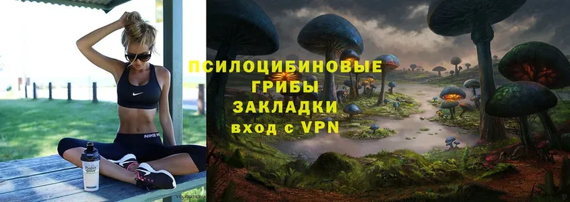 Псилоцибиновые грибы Psilocybe  где можно купить   Поронайск 